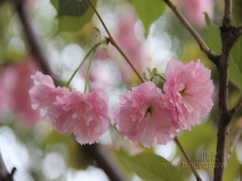 女生被掐住颈部